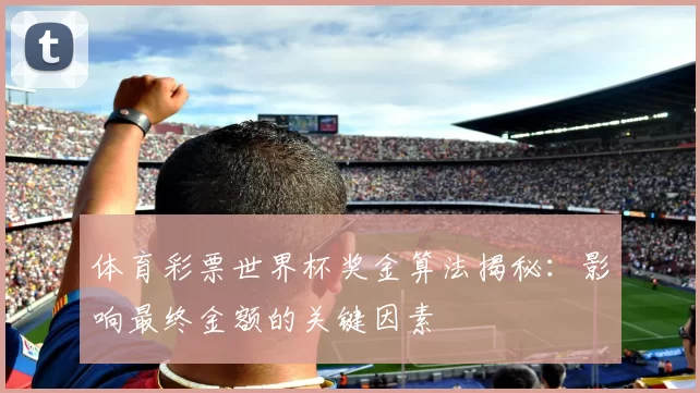 体育彩票世界杯奖金算法揭秘：影响最终金额的关键因素