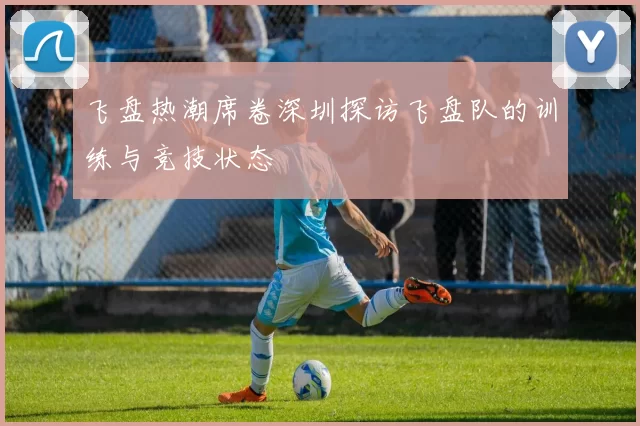 飞盘热潮席卷深圳探访飞盘队的训练与竞技状态