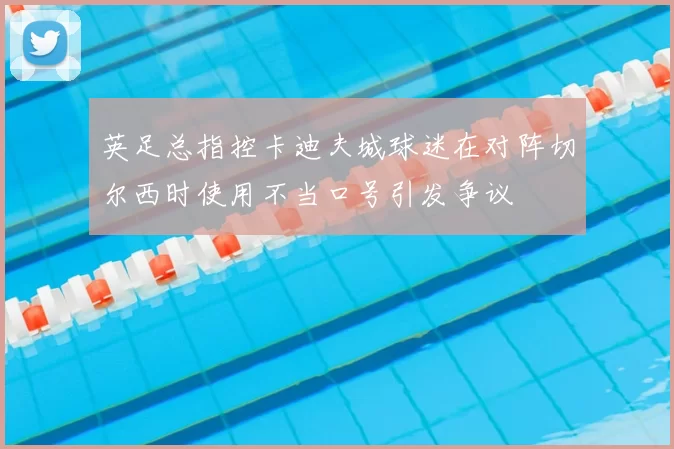 英足总指控卡迪夫城球迷在对阵切尔西时使用不当口号引发争议