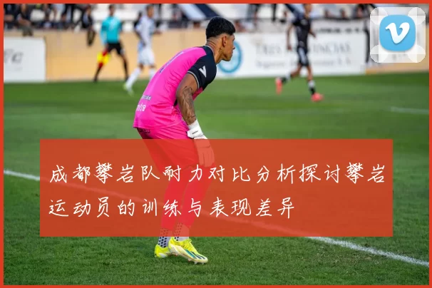 成都攀岩队耐力对比分析探讨攀岩运动员的训练与表现差异