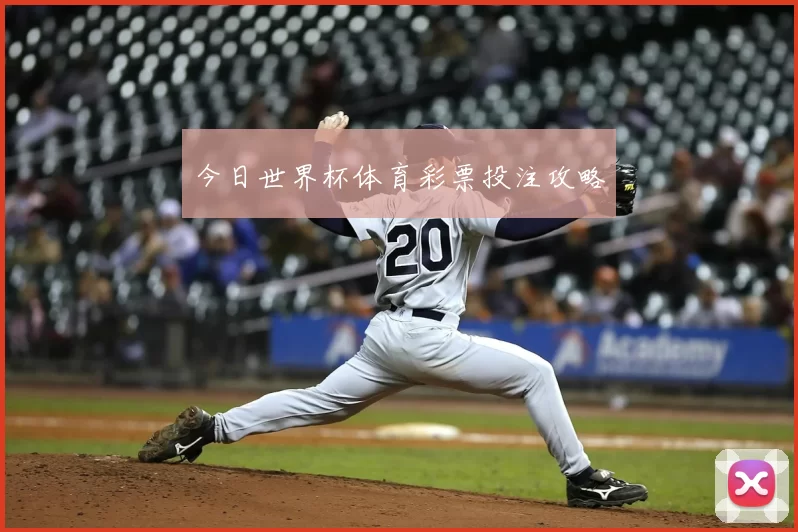 今日世界杯体育彩票投注攻略