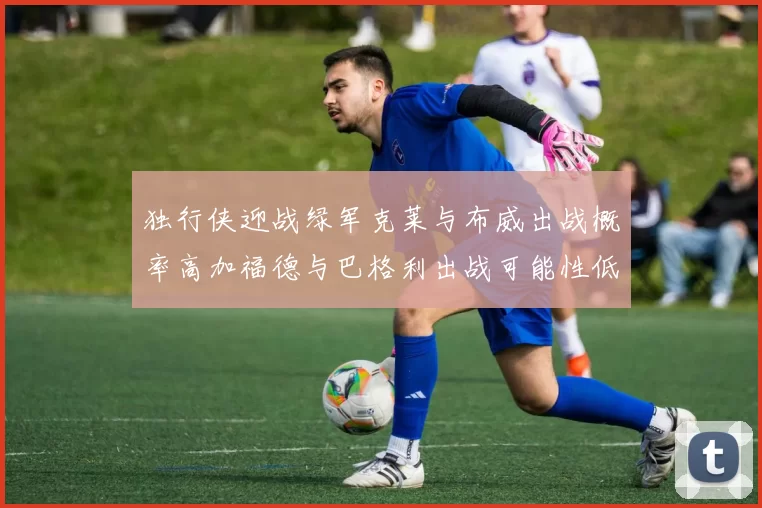 独行侠迎战绿军克莱与布威出战概率高加福德与巴格利出战可能性低