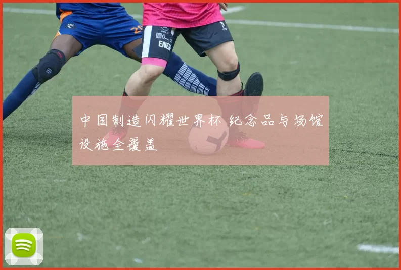 中国制造闪耀世界杯 纪念品与场馆设施全覆盖