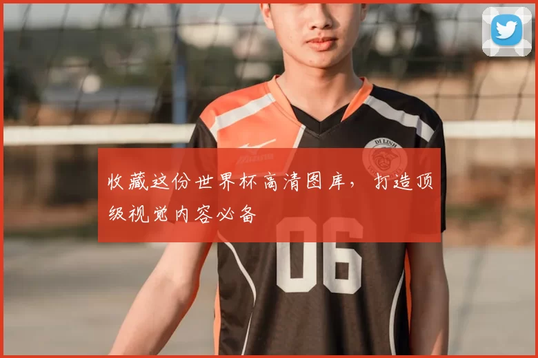 收藏这份世界杯高清图库,打造顶级视觉内容必备