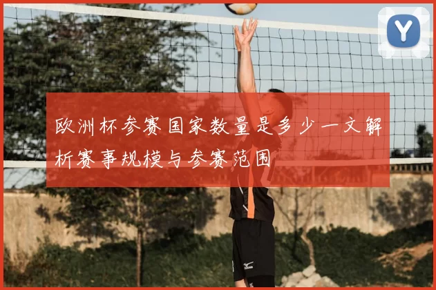 欧洲杯参赛国家数量是多少一文解析赛事规模与参赛范围