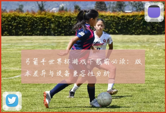 弓箭手世界杯游戏下载前必读:版本差异与设备兼容性分析