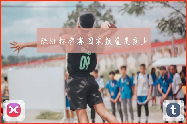 欧洲杯参赛国家数量是多少